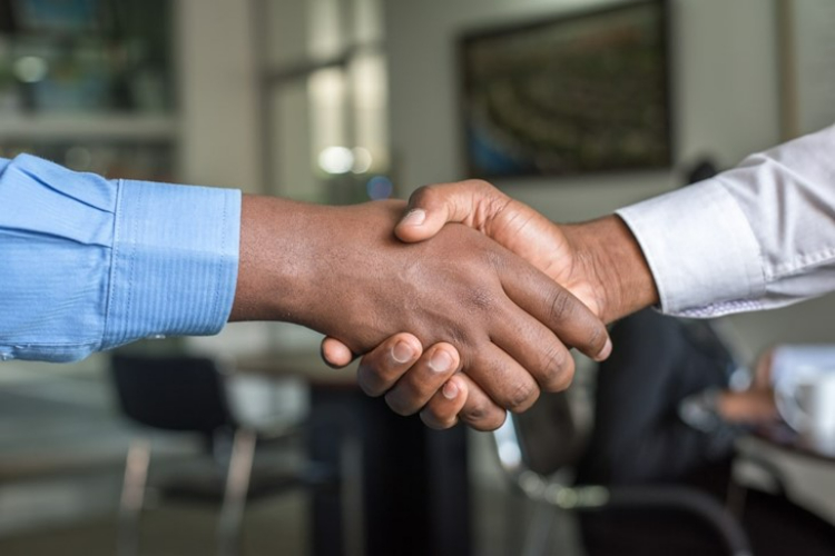 Utilizing Double Tax Agreements - Blutrust